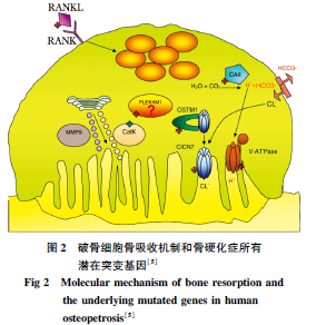 图2.png