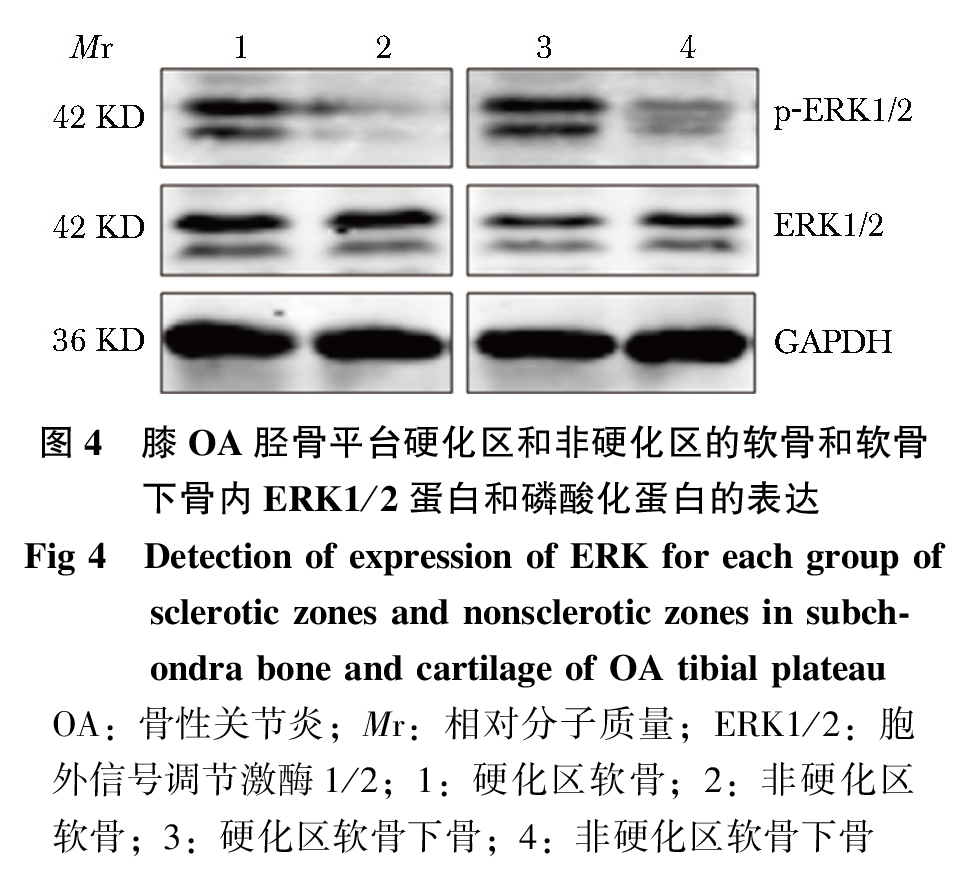 图4.jpg